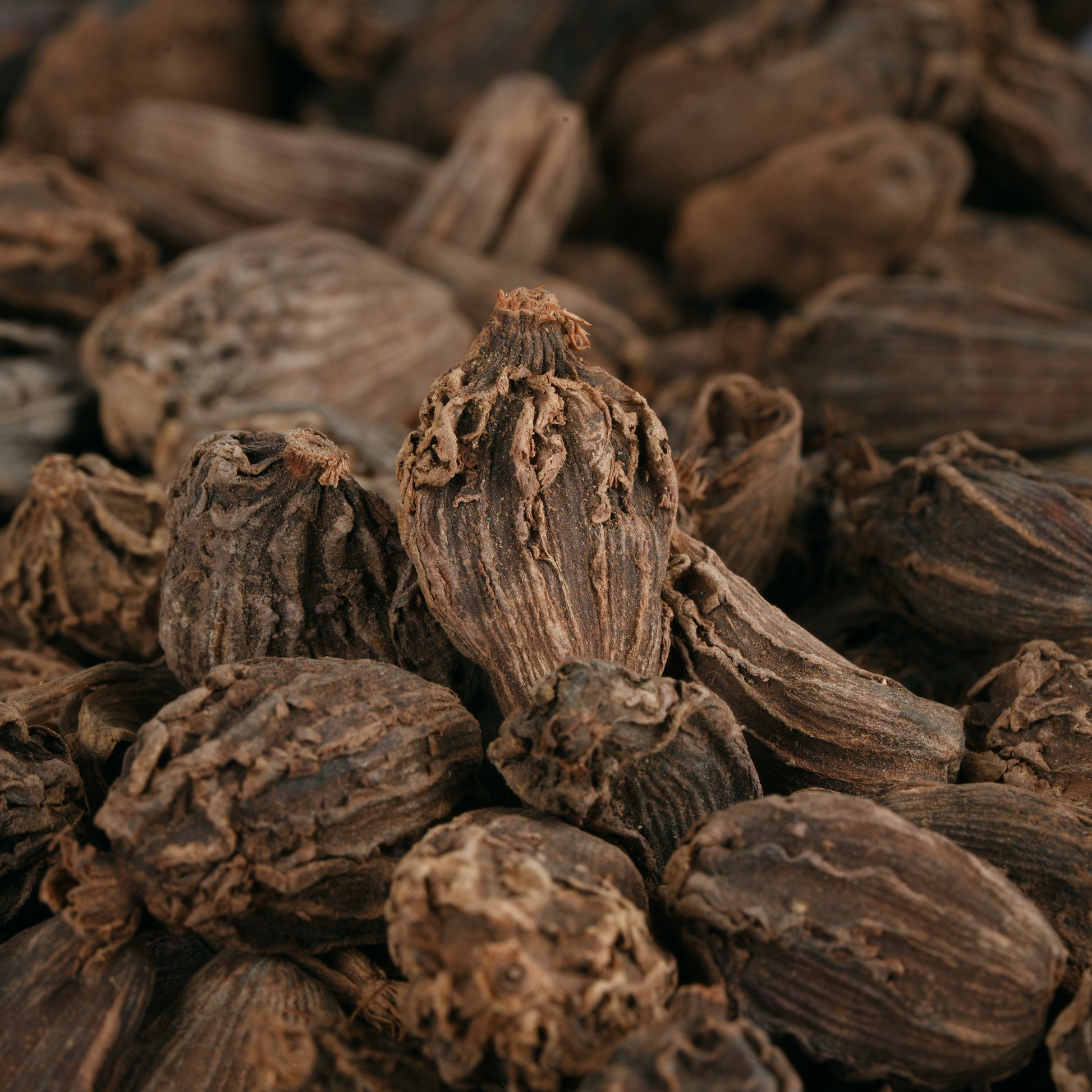 Black Cardamom