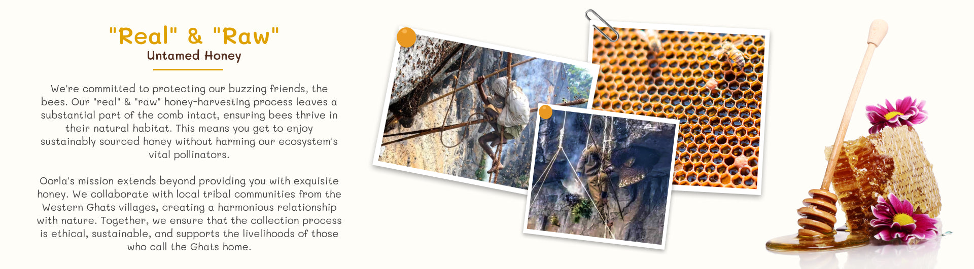 Los Altos Honey Genuine Karunga Belt main image 1